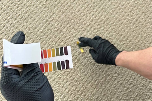 Bedroom carpet cleaning result in North York